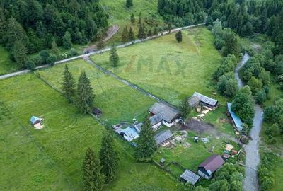 Ferma de vanzare, teren 21436 mp intravilan, Cosnea, Agas - 8