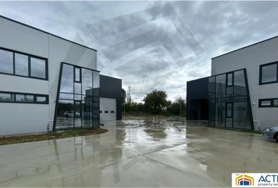 Hale de vanzare Chitila Oxigenului - 5