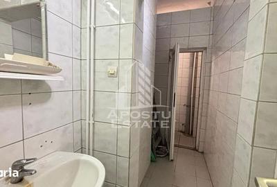 Spațiu comercial, de 124 mp, în Iosefin