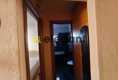 Apartament cu 2 camere semidecomandat, mobilat în Brazda lui Novac - 8