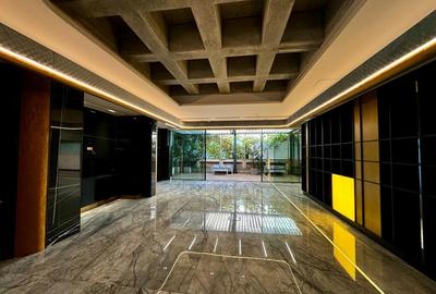 AVIATORILOR | PROPRIETATE SPECTACULOASA ALEEA ALEXANDRU - 2