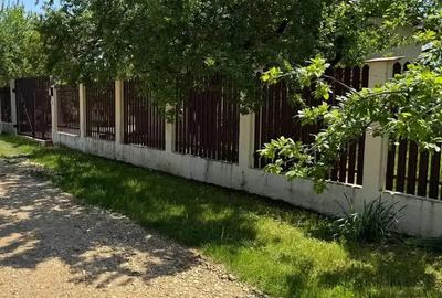 Casă cu 3 camere cu Teren 4000 Mp în Letca Nouă - 3