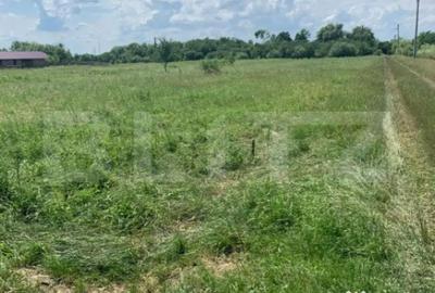 Teren de 4000 mp, în Careiului - 3