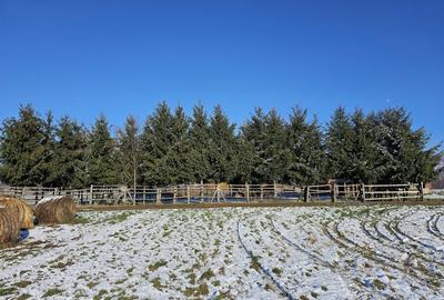 Casa de vacanta cu 6 camere + teren suprafata 7.384 mp, Bradet, Bihor - 2