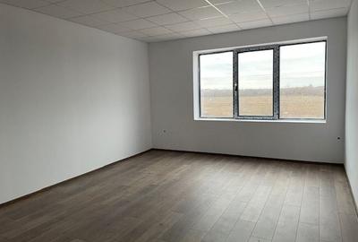 Spatiu depozitare si productie Soseaua de centrua Chitila - 11