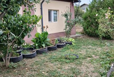 Casă cu 4 camere cu Teren 836 Mp în Ghighiu - 3