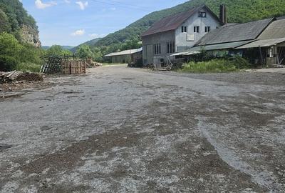 Spațiu comercial, de 2,500 mp, în Nufărul - 1