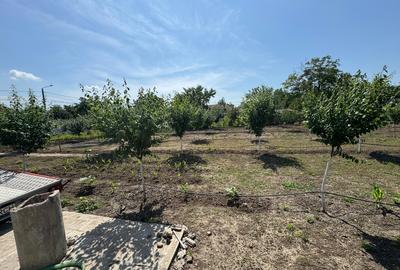 Teren de 880 mp, în Exterior Vest - 2