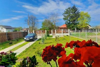 Casă cu 2 camere cu Teren 795 Mp în Regie - 9