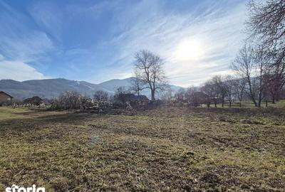 Teren de 1280 mp, în Dacia - 3