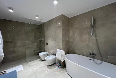 HERASTRAU ONE TOWERS  PENTHOUSE DUPLEX  VEDERE PANORAMICA - 31