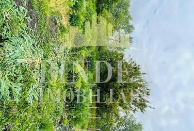 Casa individuala Covaci- 1000mp teren - 6