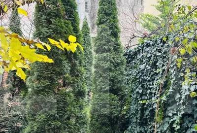 Apartament cu 5 camere în Central - 12