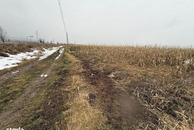 Teren de 7276 mp, în Putna - 4