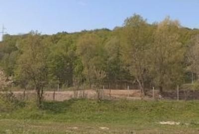 Teren de 2100 mp, în Vălenii de Munte - 5