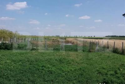 Casă cu 2 camere cu Teren 4700 Mp în Central - 4