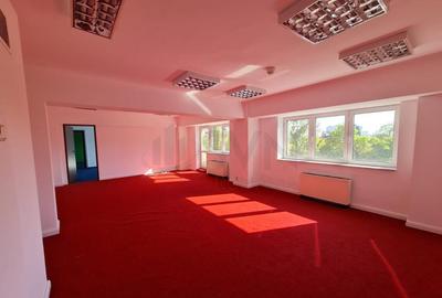 Apartament 6 camere Calea Victoriei Apartament 6 camere Calea Victoriei - 4