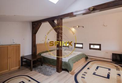 Vila D+P+E+M, curte proprie, centrala termica, loc de parcare - 12