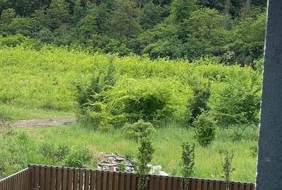 Casă cu 4 camere cu Teren 200 Mp în Corbeanca - 13