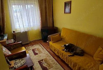 Apartament cu 4 camere decomandat, mobilat în Caransebeș - 10