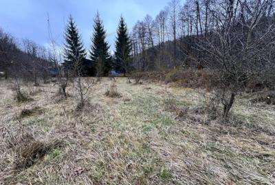 Teren de 6500 mp, în Morărești - 3