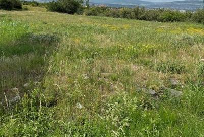 Teren de vanzare, 1000mp in Feleac - 2