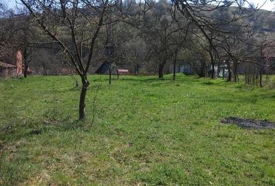 Teren de 2219 mp, în Lăpugiu de Jos - 6