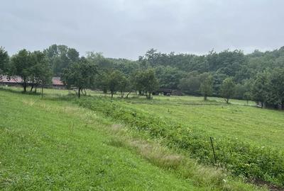 Casă cu 3 camere în Câlnic - 5