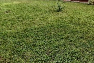 Casa 4 camere cu curte Casa 4 camere cu curte - 5