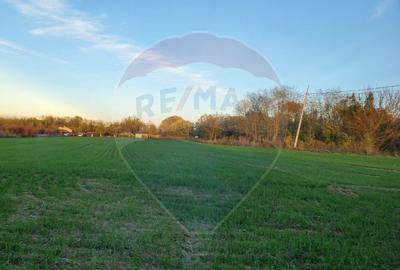 Teren 1,000mp Ciolpani / Strada Catunului - 1