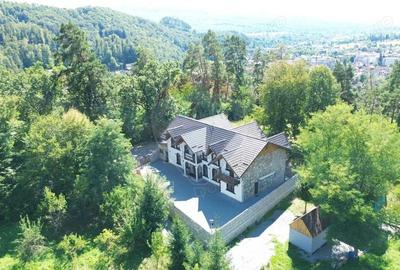 Pensiune de vanzare in Sovata Conacul Cosalina - 7