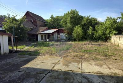 Casa pe un nivel in Medias, teren 533 mp, curte dreapta - 12