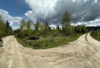 Teren Construcții intravilan de 6000 mp, în Șaru Dornei - 9