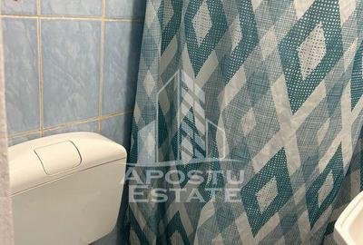 Garsonieră nedecomandată, mobilată în Iosefin - 1