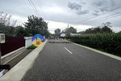 2 case si teren in Agapia - localitatea Sacalusesti - 3