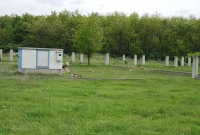 Teren de 543 mp, în Gepiu - 17