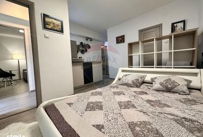 Apartament cu 2 camere, mobilat în Gruia - 5