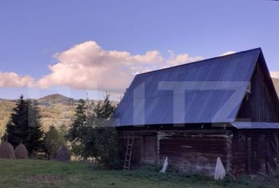 Casa la munte, cu teren 13383 mp, zona Horea - Apuseni - 1