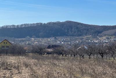 Teren agricol intravilan de 2581 mp, în Albeștii de Argeș - 2