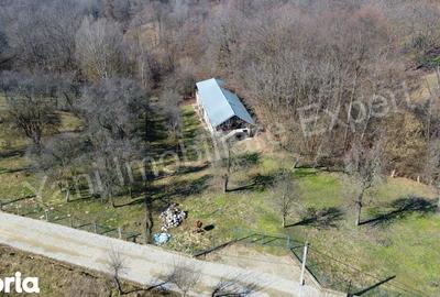 Casă cu 3 camere cu Teren 9815 Mp în Valea Iașului - 15