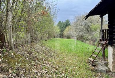 Teren intravilan de vanzare, 960 mp, zona Geoagiu-Bai - 2