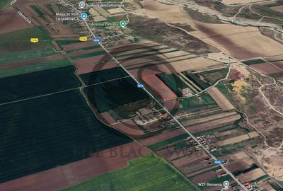 Teren de vanzare in Manesti, Prahova | 18.000 mp | Deschi... - 11