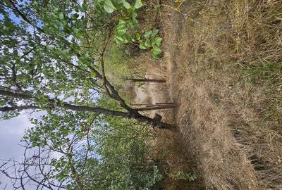 Gospodarie cu 2 case Comuna Trivale Mosteni, sat , la 30 km de Alexandria, jude?ul Teleorman 20 000 - 1