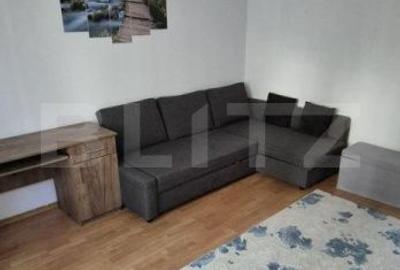 Garsonieră în Paltin