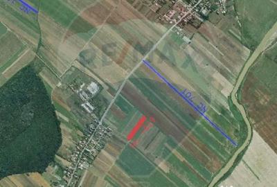 Teren de 4955 mp, în Nuci - 3