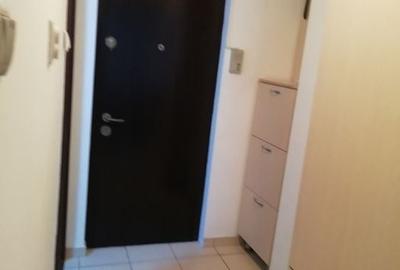Garsoniera Basarabia, mobilata si utilata complet, renovata, curata, libera - 7
