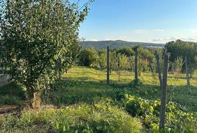 Spațiu comercial, în Central - 3