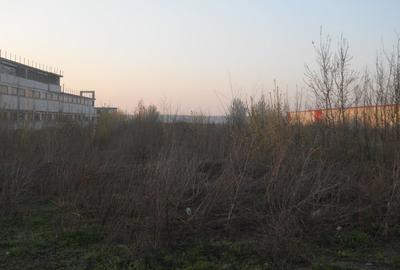 Teren Construcții intravilan de 13000 mp, în Băneasa - 5