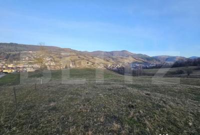 Teren de 16667 mp, în Abrud-Sat - 3