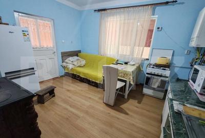 Casă cu 1 camere cu Teren 3000 Mp în Aluniș - 16